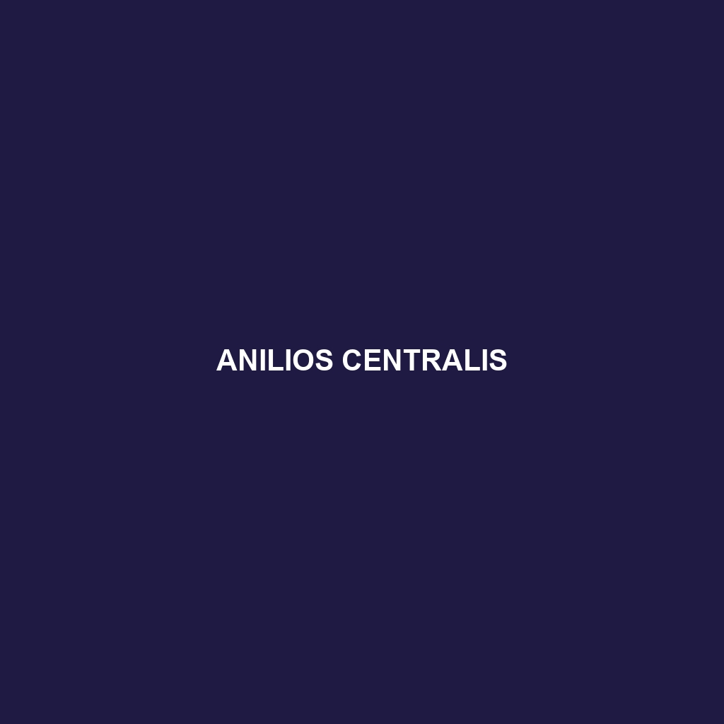 Anilios centralis