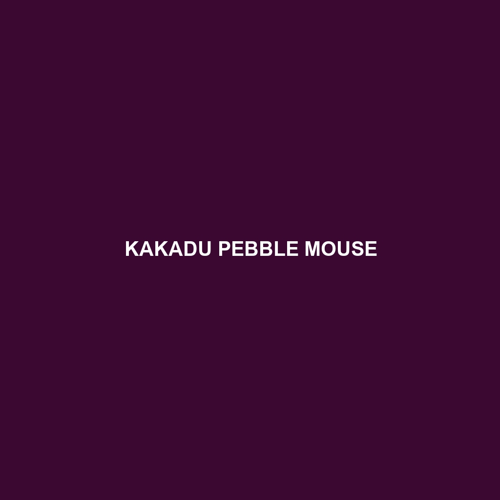 Kakadu Pebble Mouse