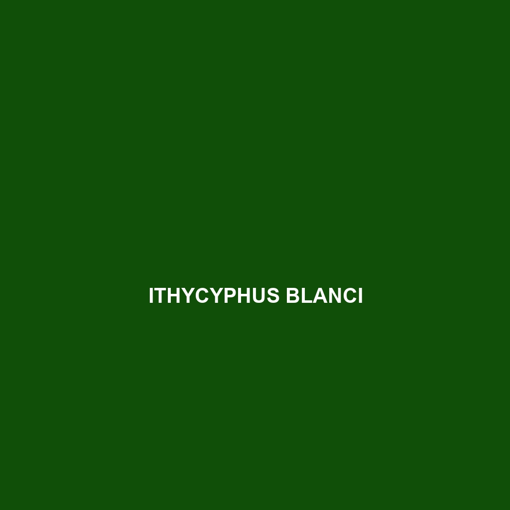 Ithycyphus blanci