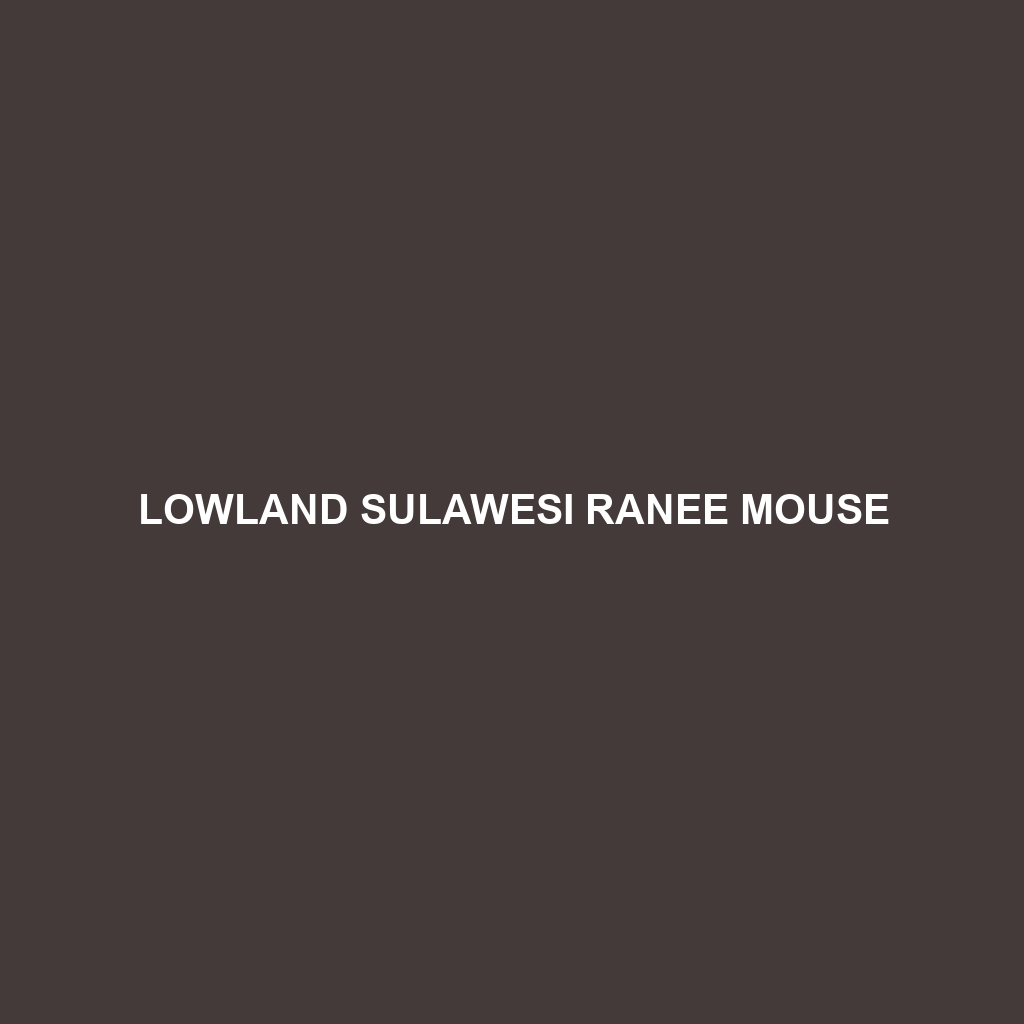 Lowland Sulawesi Ranee Mouse