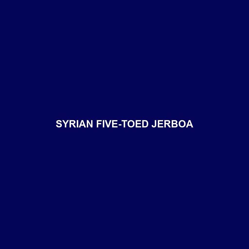 Syrian Five-toed Jerboa