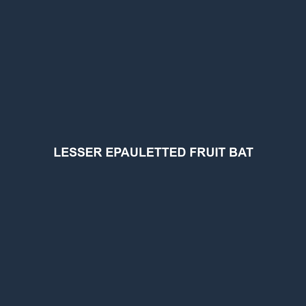 Lesser Epauletted Fruit Bat