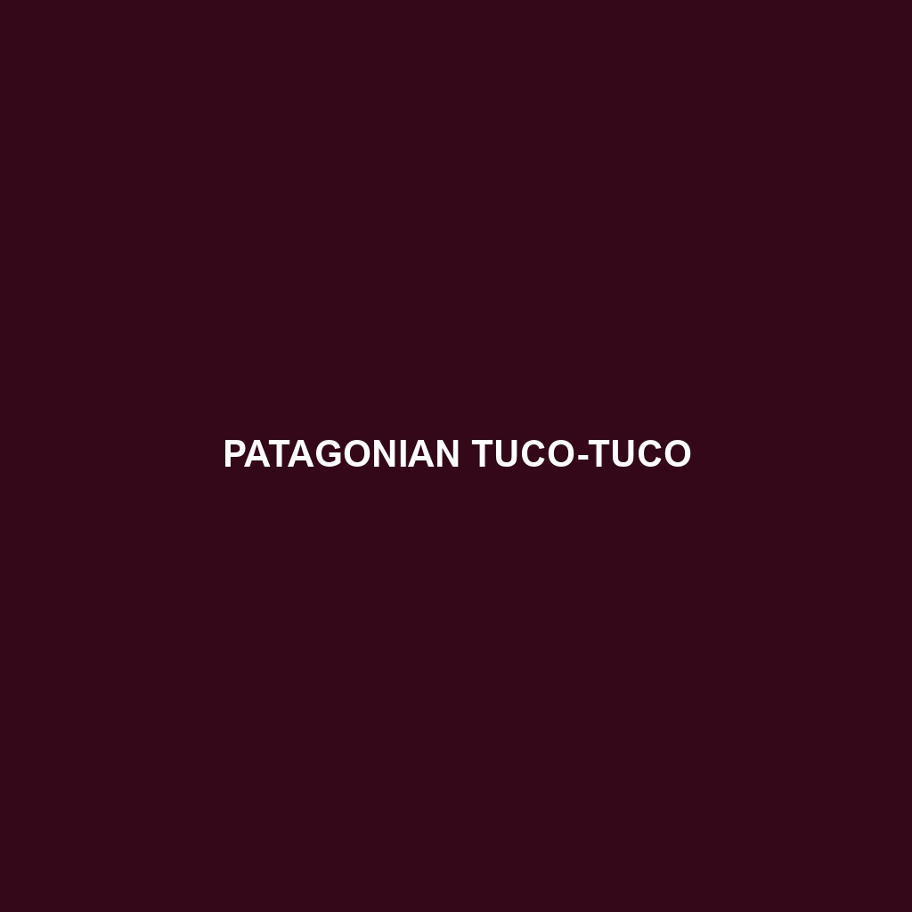 Patagonian Tuco-tuco