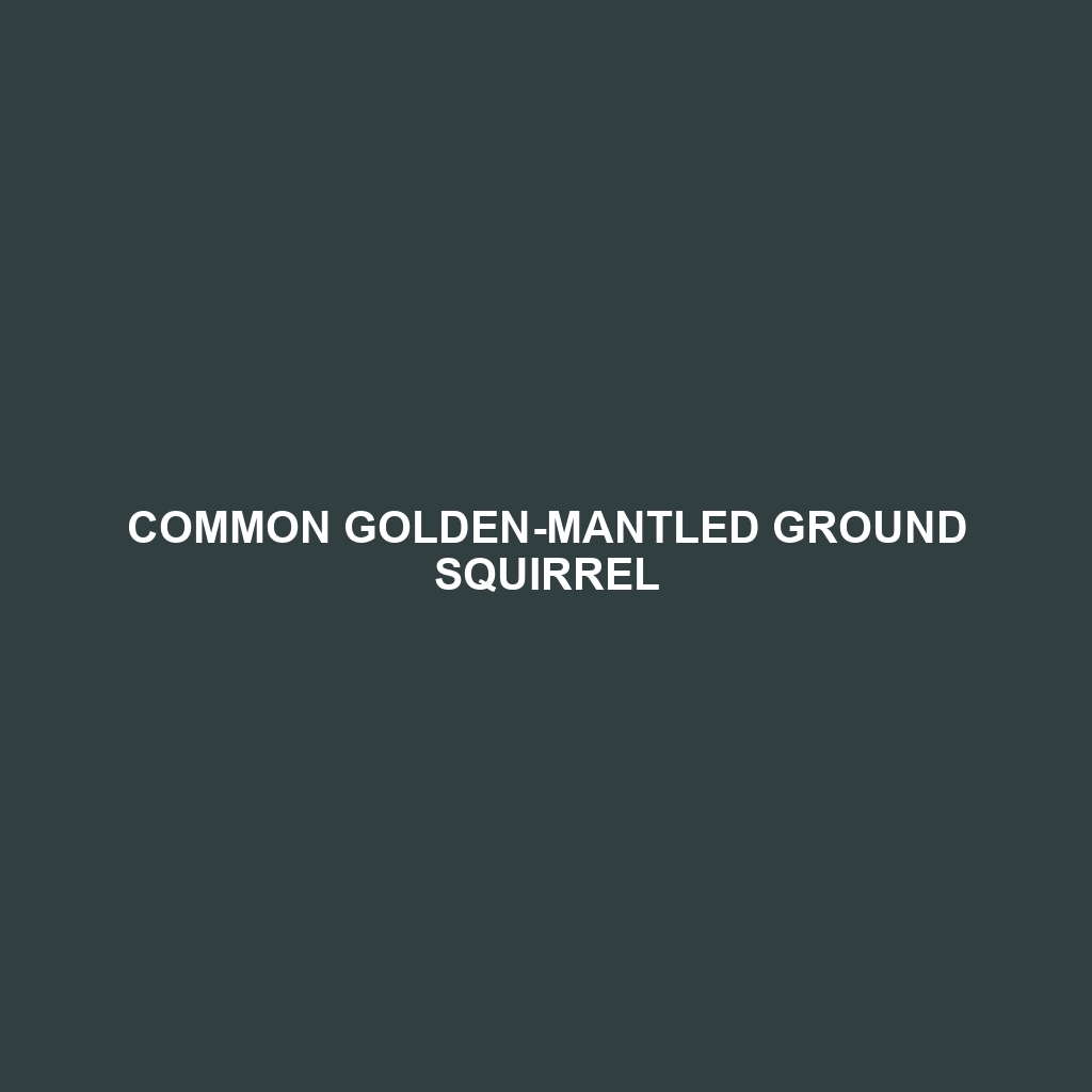 Common Golden-mantled Ground Squirrel