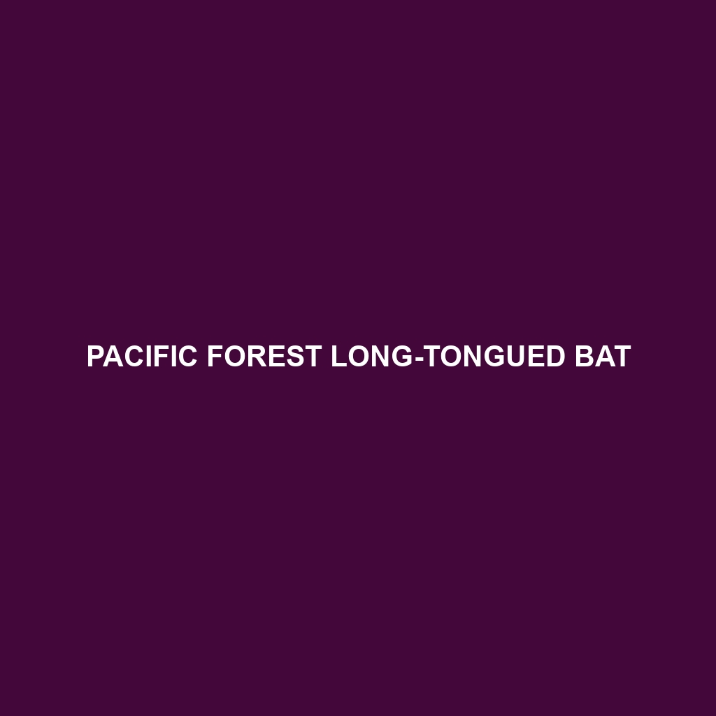 Pacific Forest Long-tongued Bat