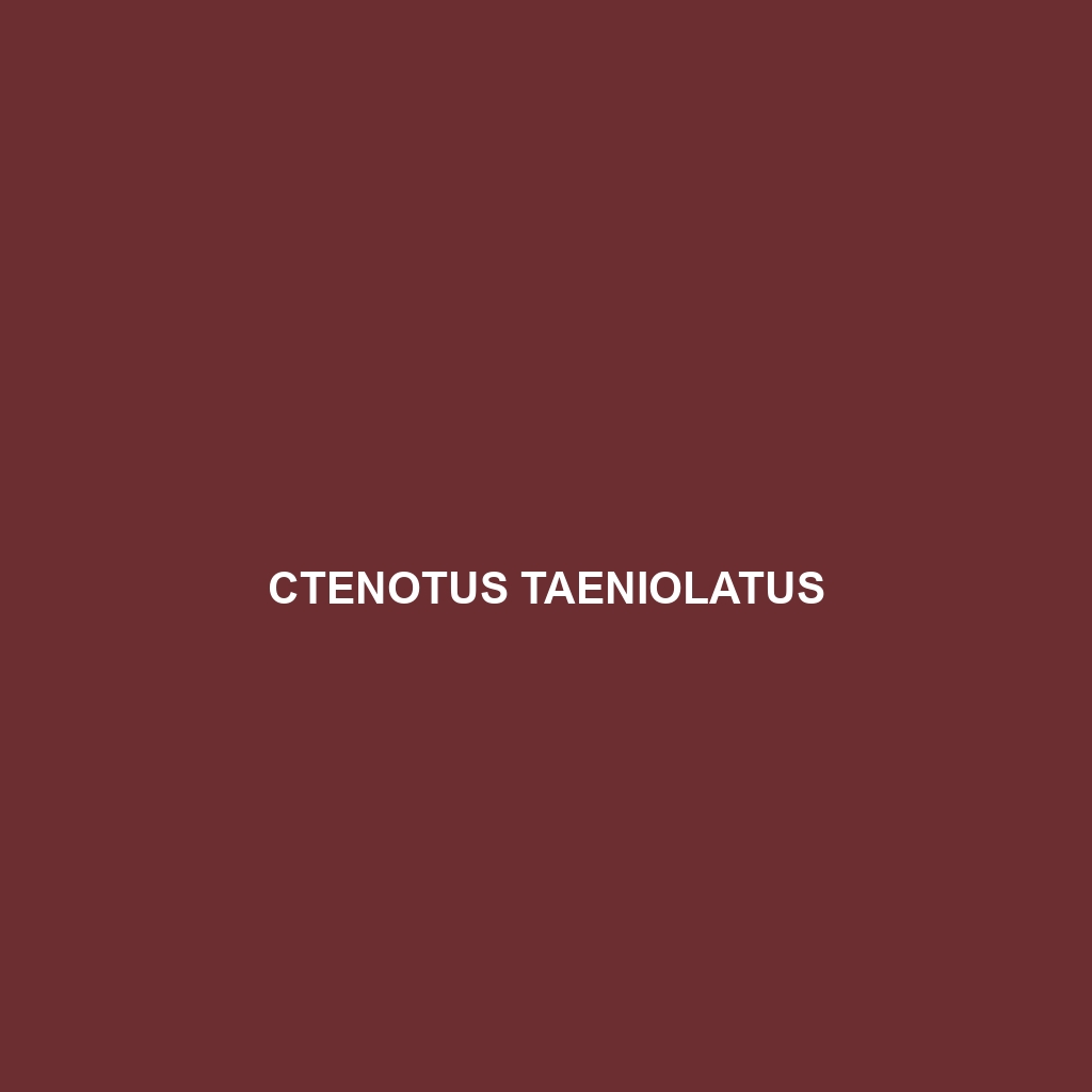 Ctenotus taeniolatus