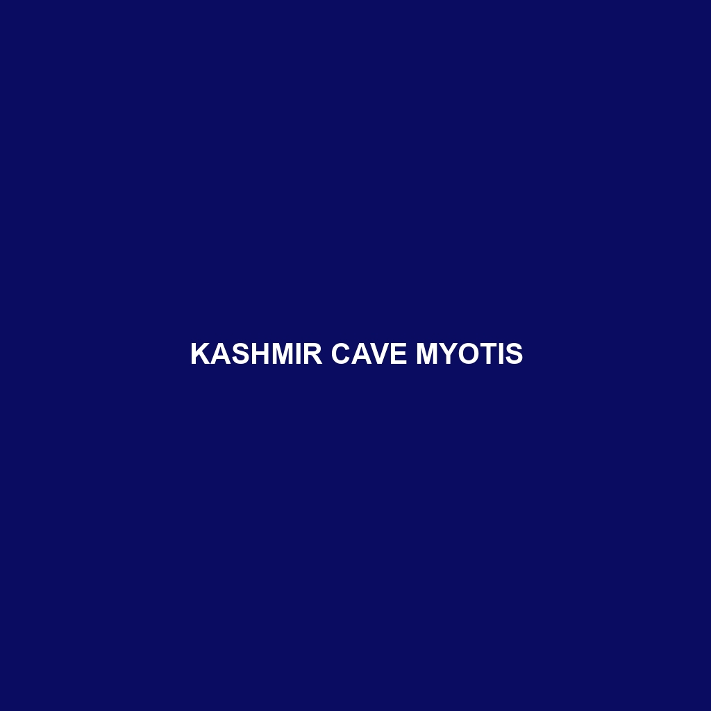 Kashmir Cave Myotis