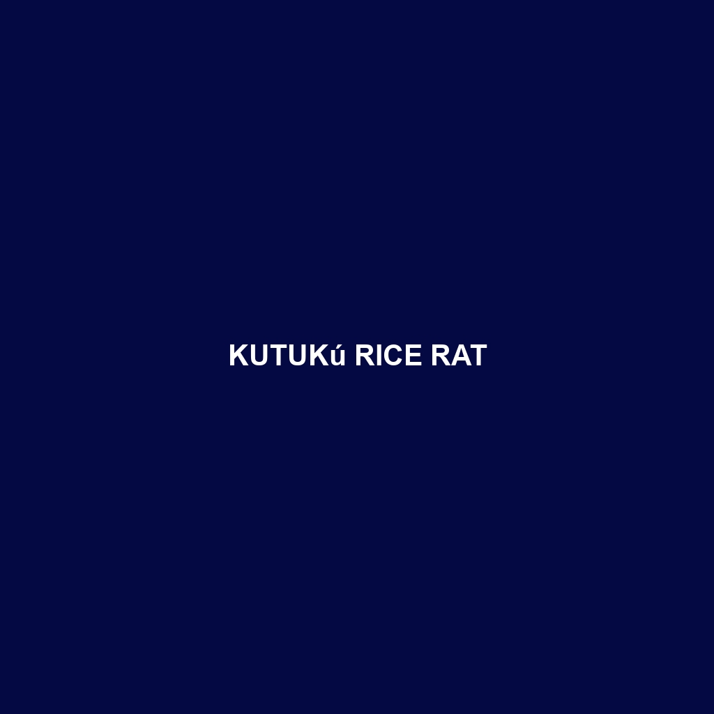 Kutukú Rice Rat