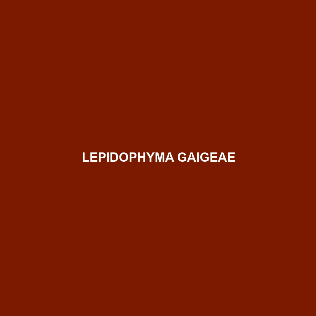 Lepidophyma gaigeae