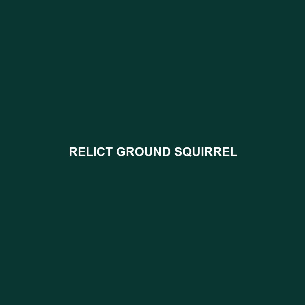 Relict Ground Squirrel