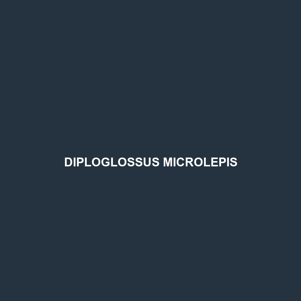 Diploglossus microlepis