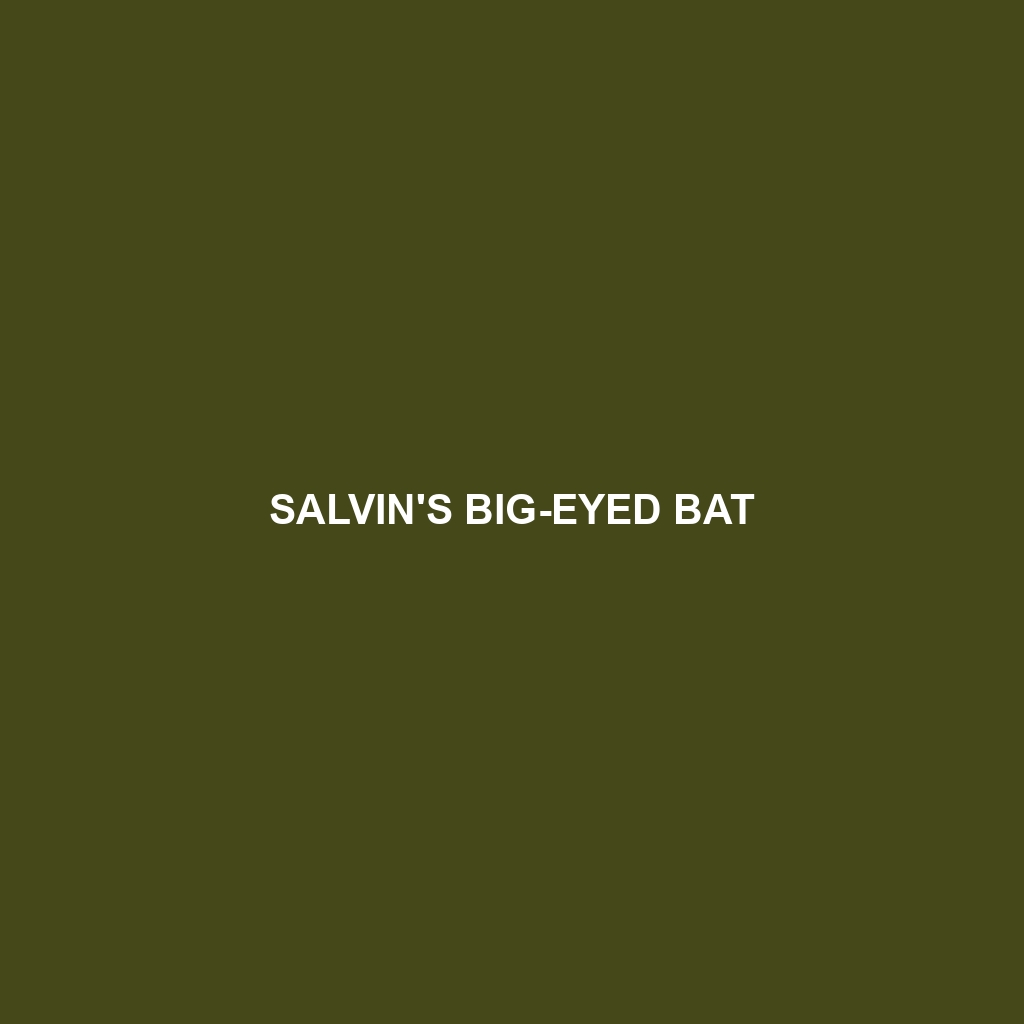 Salvin's Big-eyed Bat