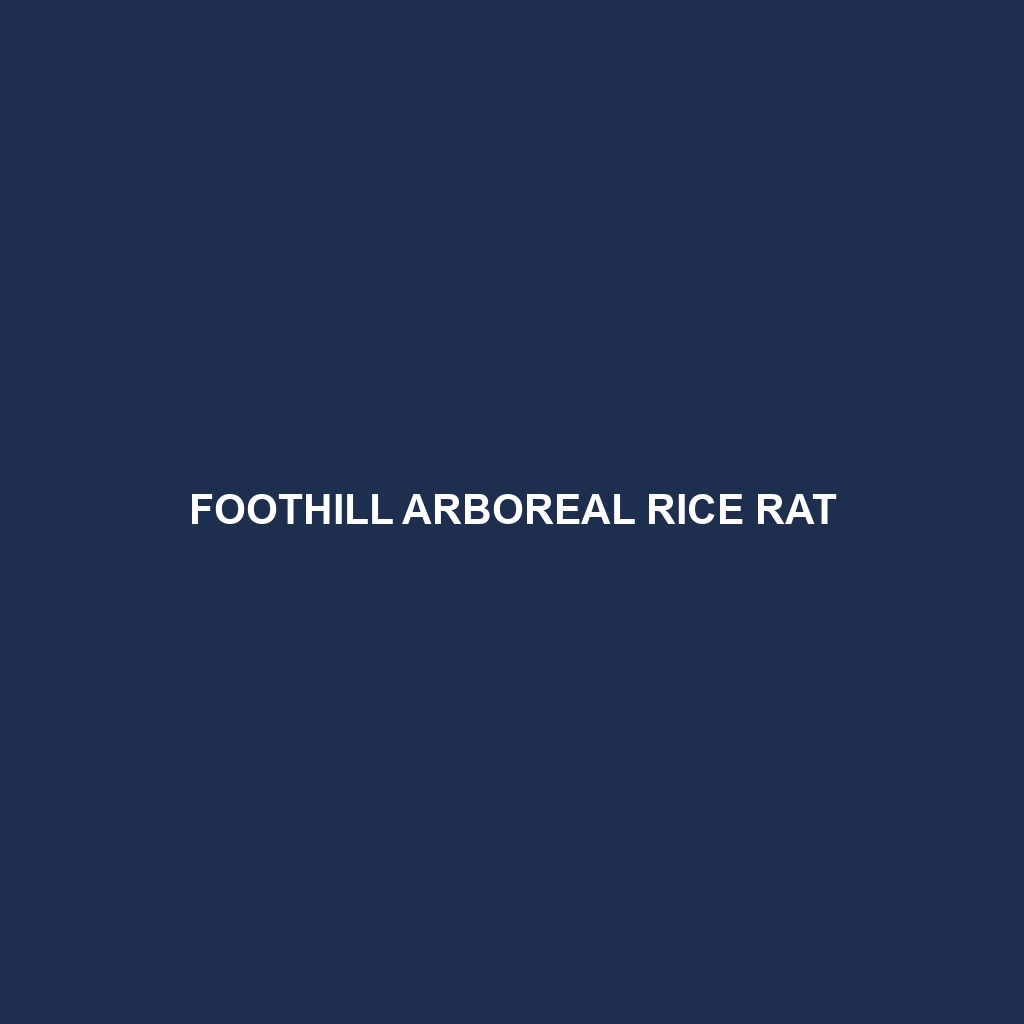 Foothill Arboreal Rice Rat