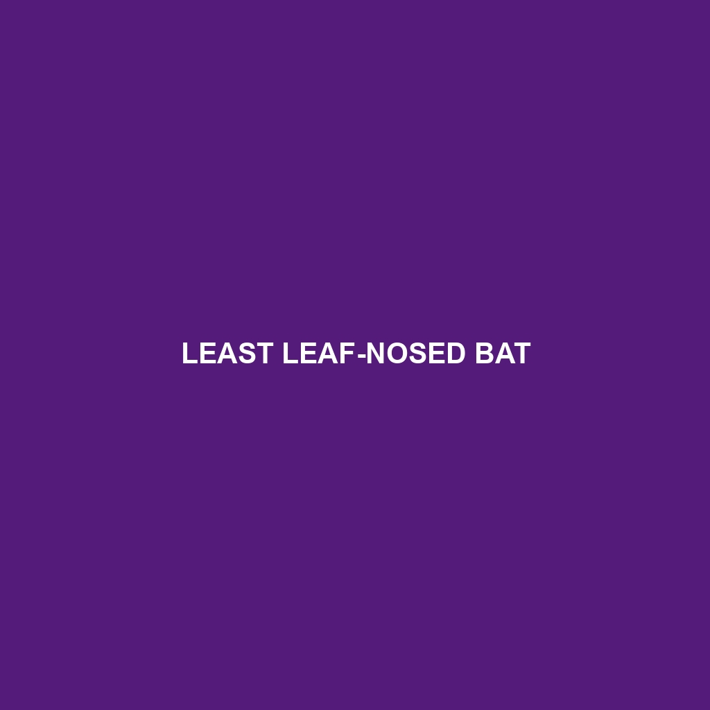 Least Leaf-nosed Bat