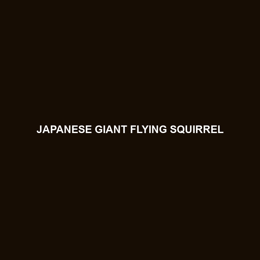 Japanese Giant Flying Squirrel