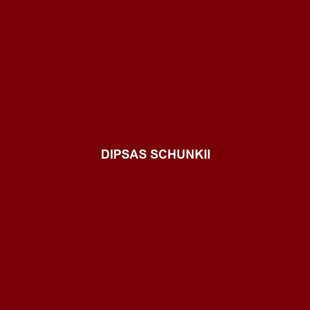 Dipsas schunkii