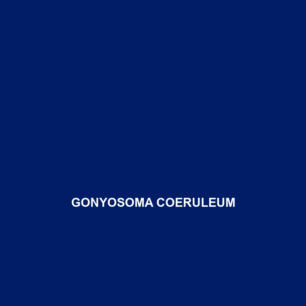 Gonyosoma coeruleum