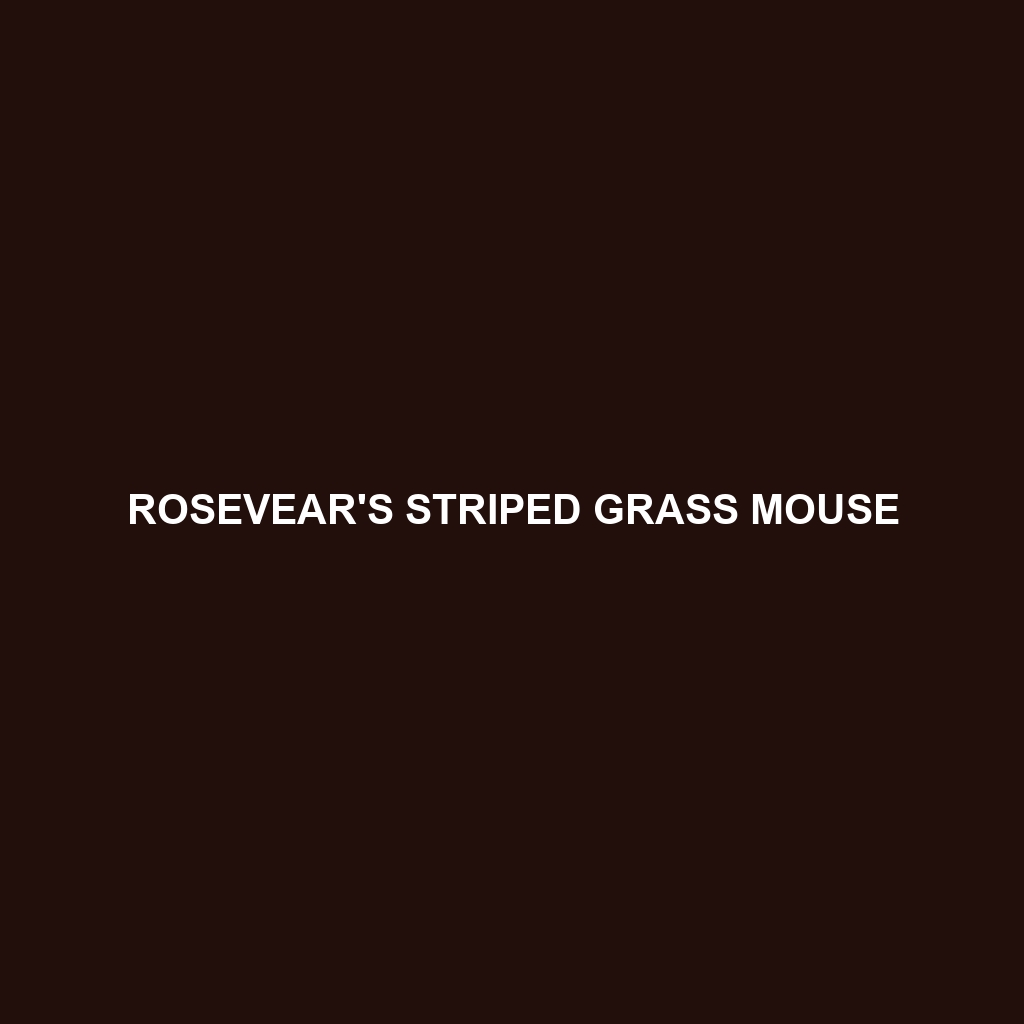 Rosevear's Striped Grass Mouse