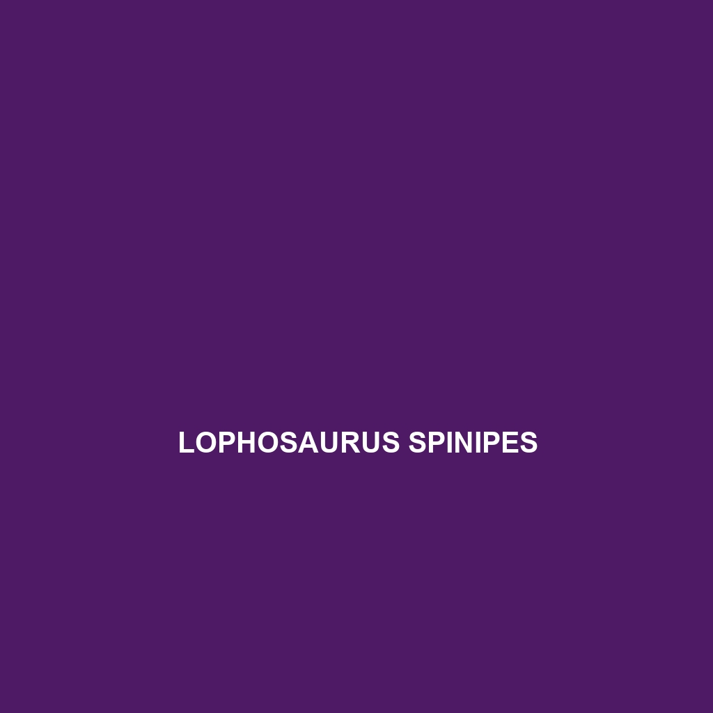 Lophosaurus spinipes