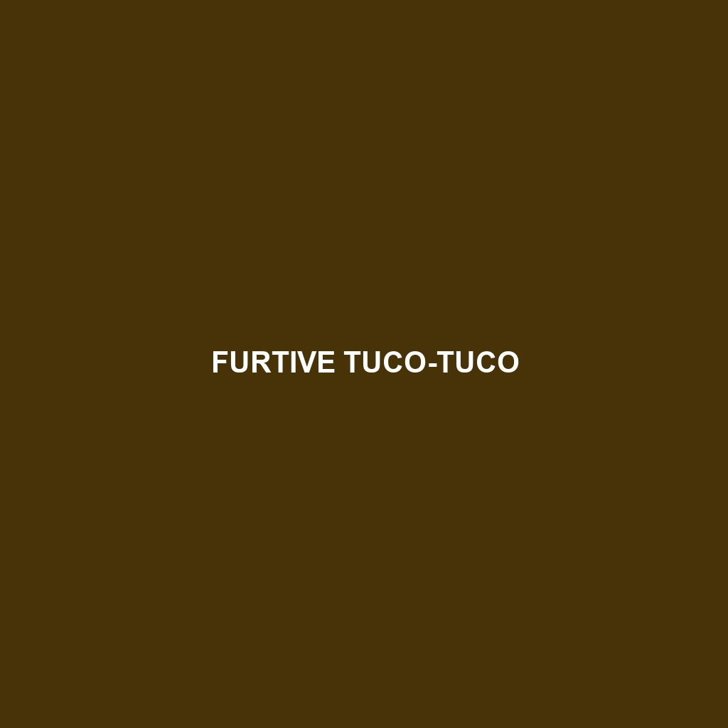 Furtive Tuco-tuco