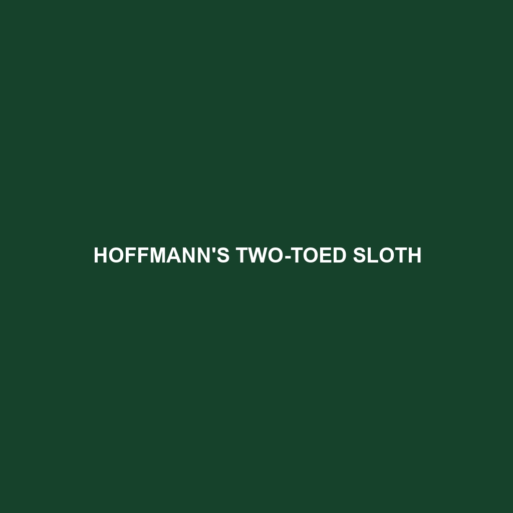 Hoffmann's Two-toed Sloth