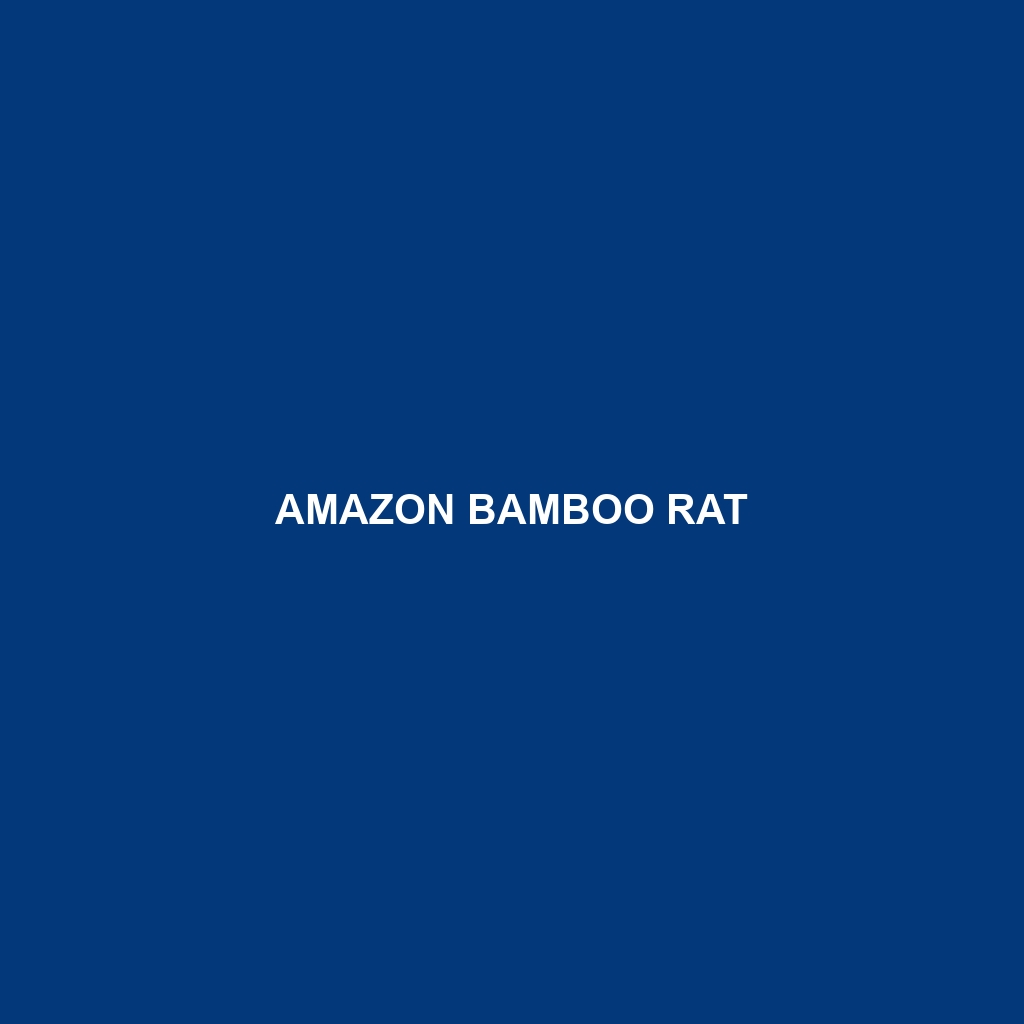 Amazon Bamboo Rat