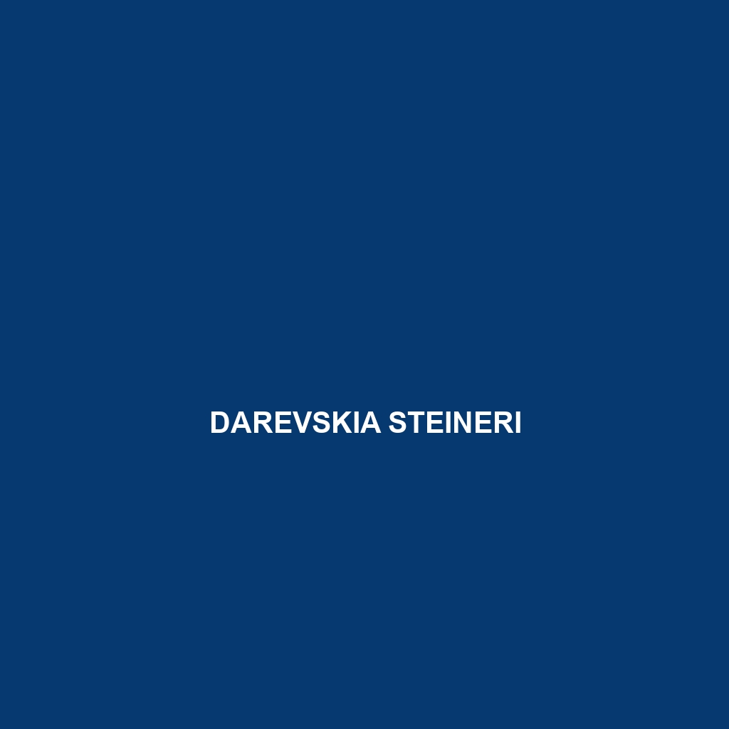 Darevskia spitzenbergerae