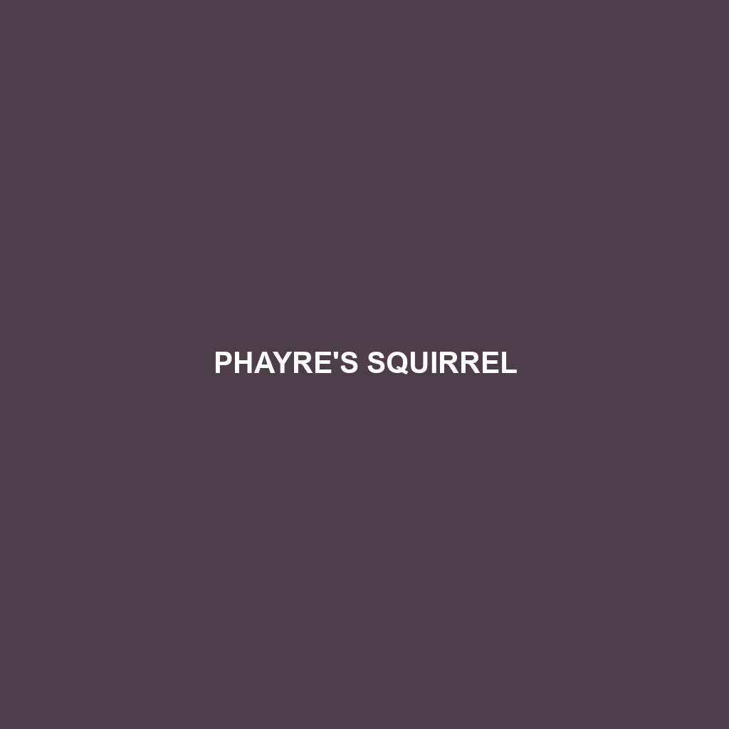 Phayre's Squirrel