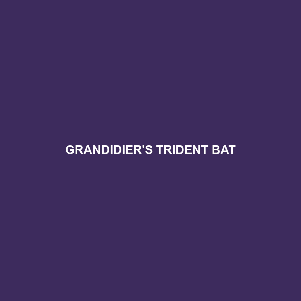 Grandidier's Trident Bat