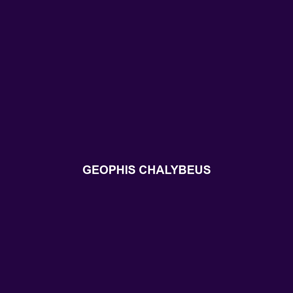 Geophis chalybeus