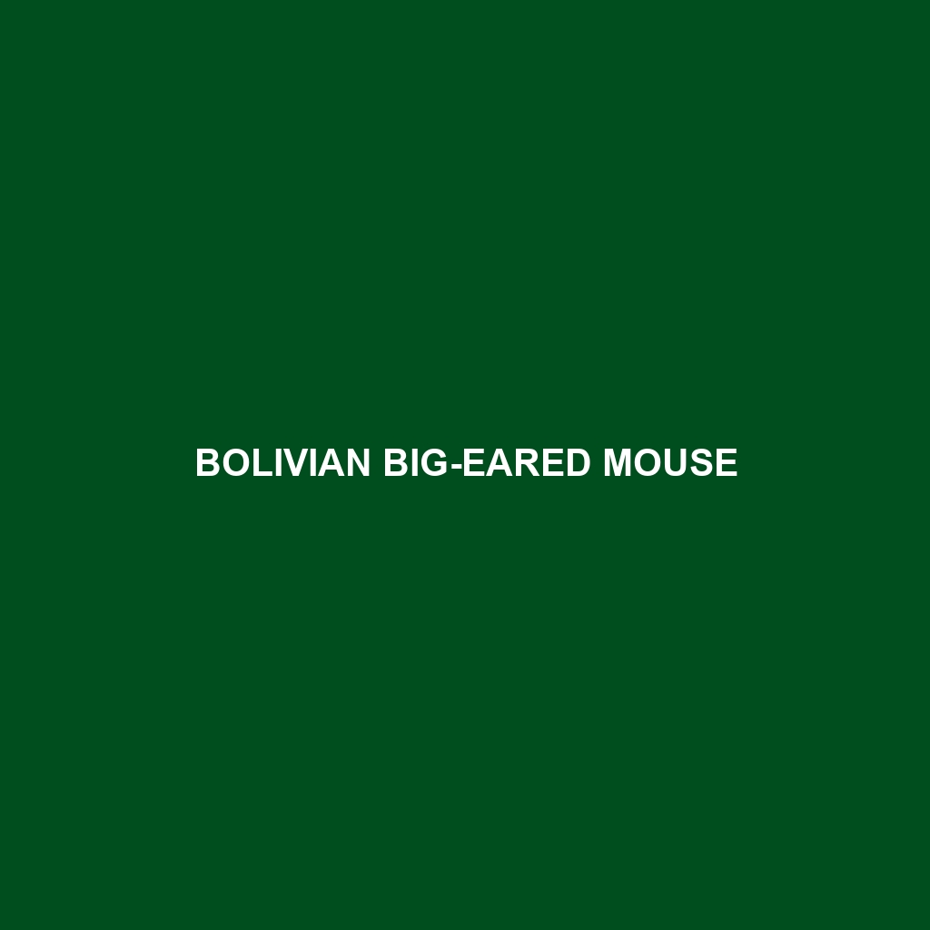 Bolivian Big-eared Mouse