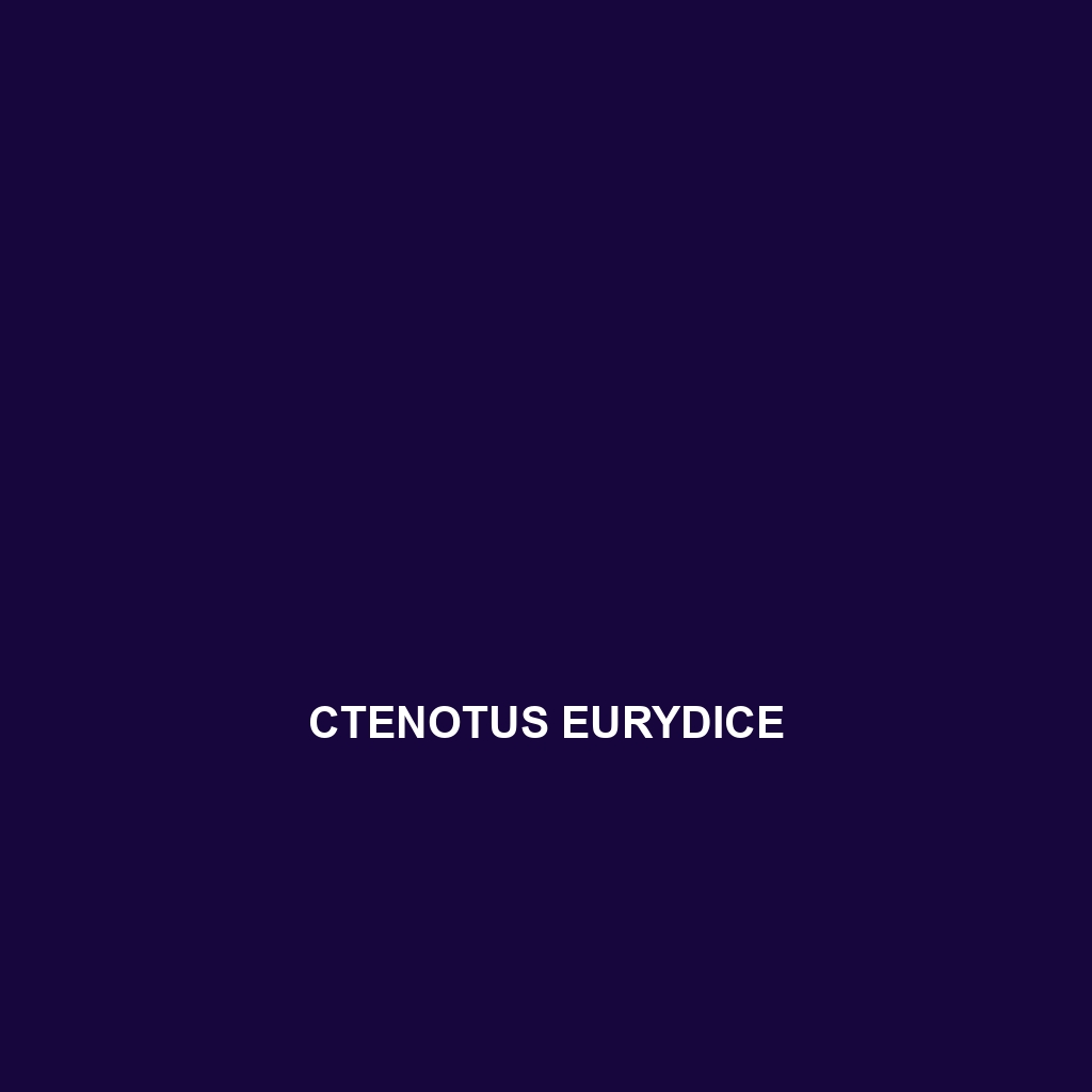 Ctenotus eurydice