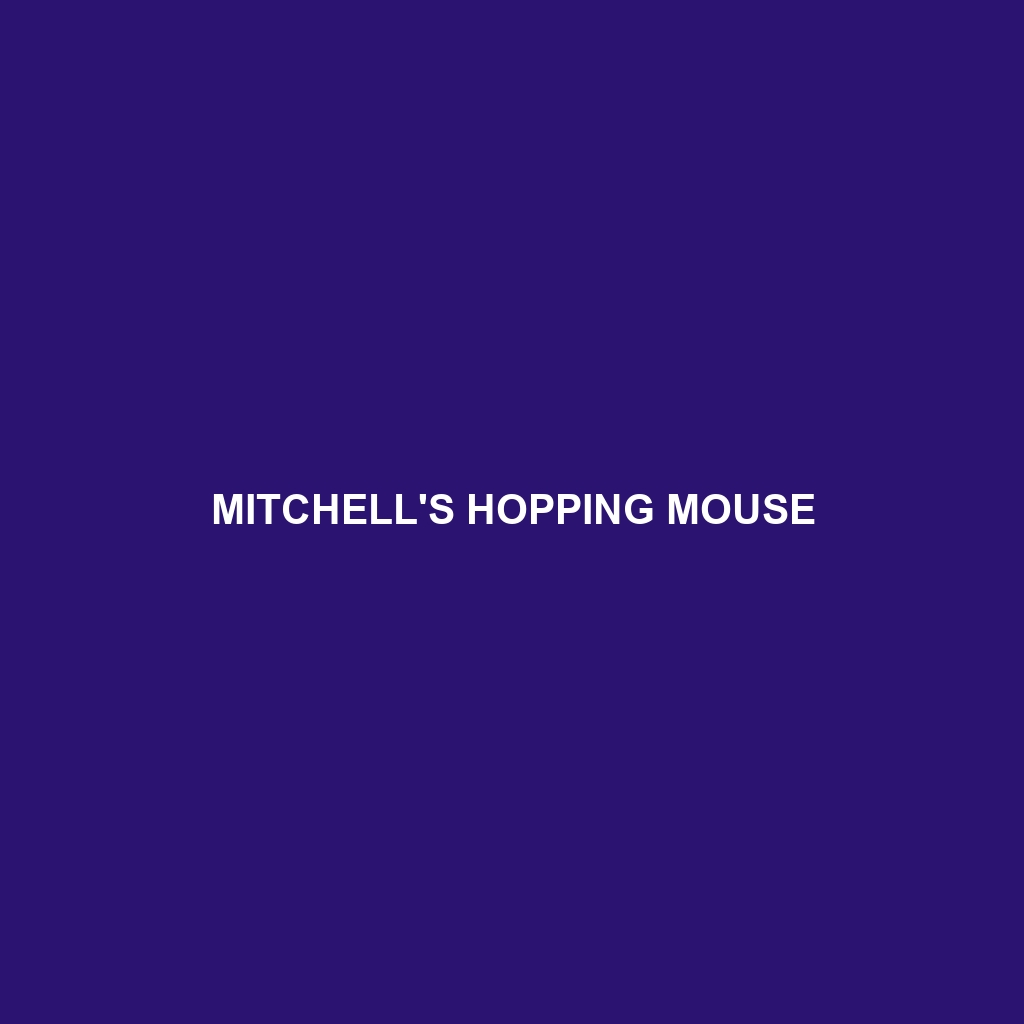 Mitchell's Hopping Mouse