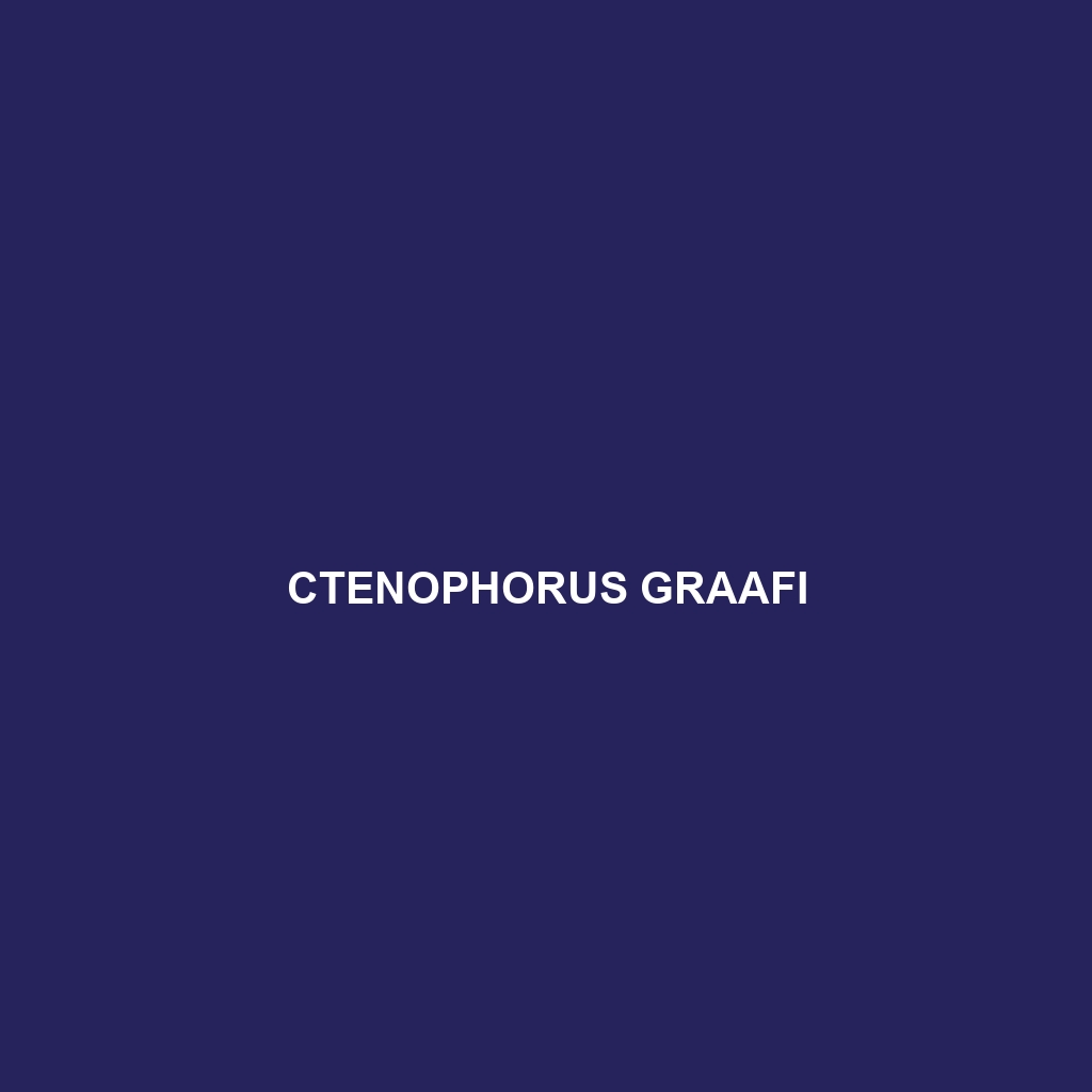 Ctenophorus graafi