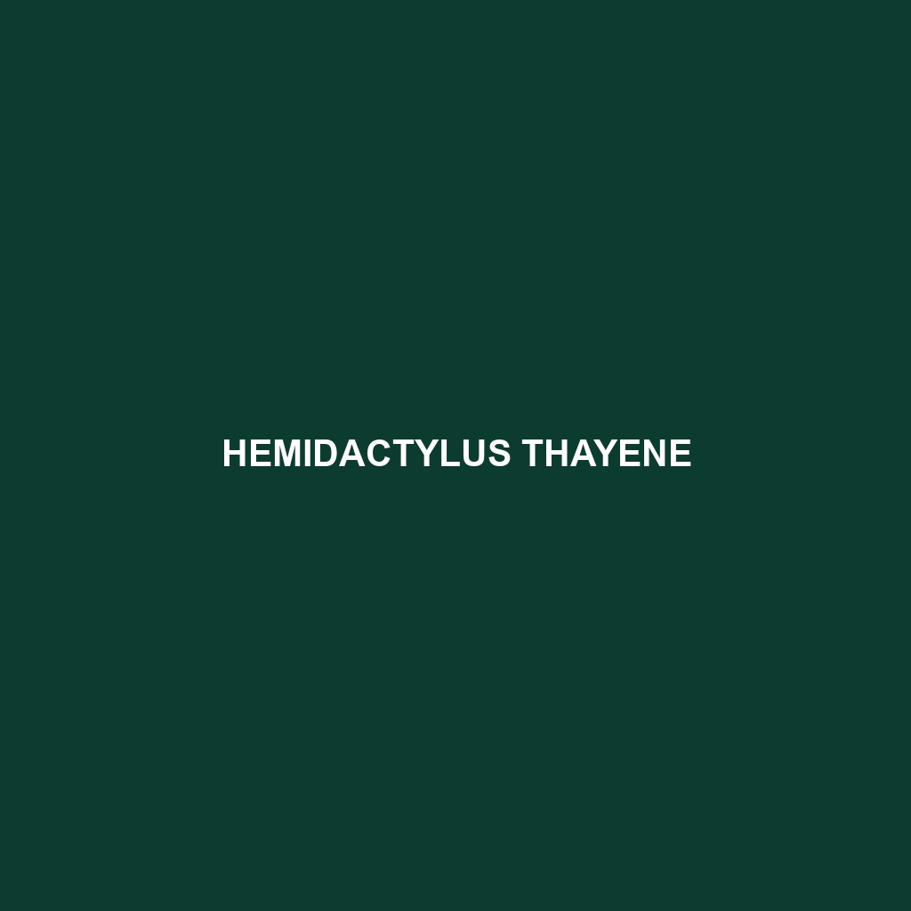 Hemidactylus thayene