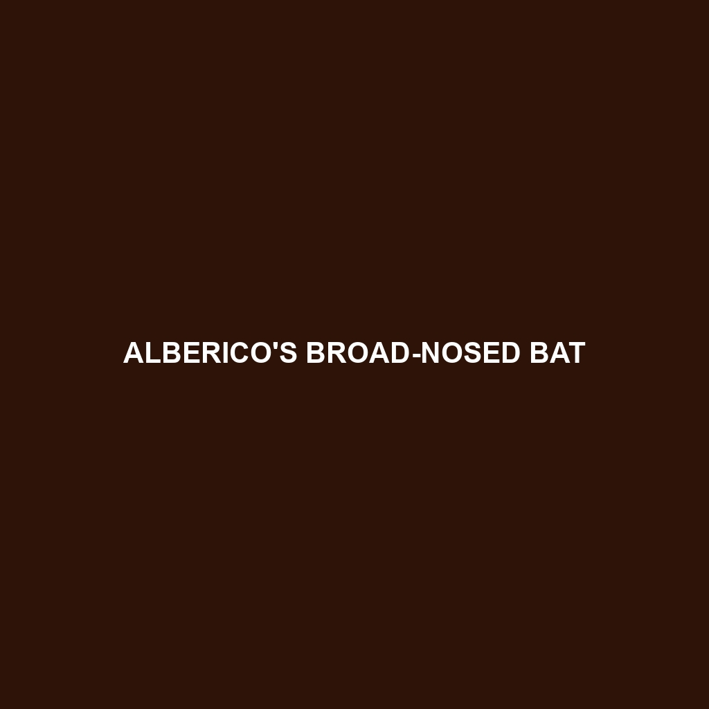 Alberico's Broad-nosed Bat