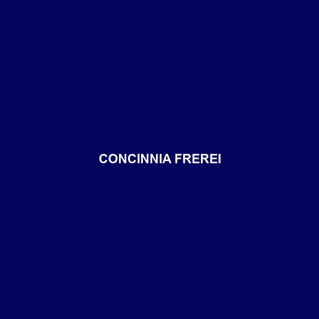 Concinnia frerei