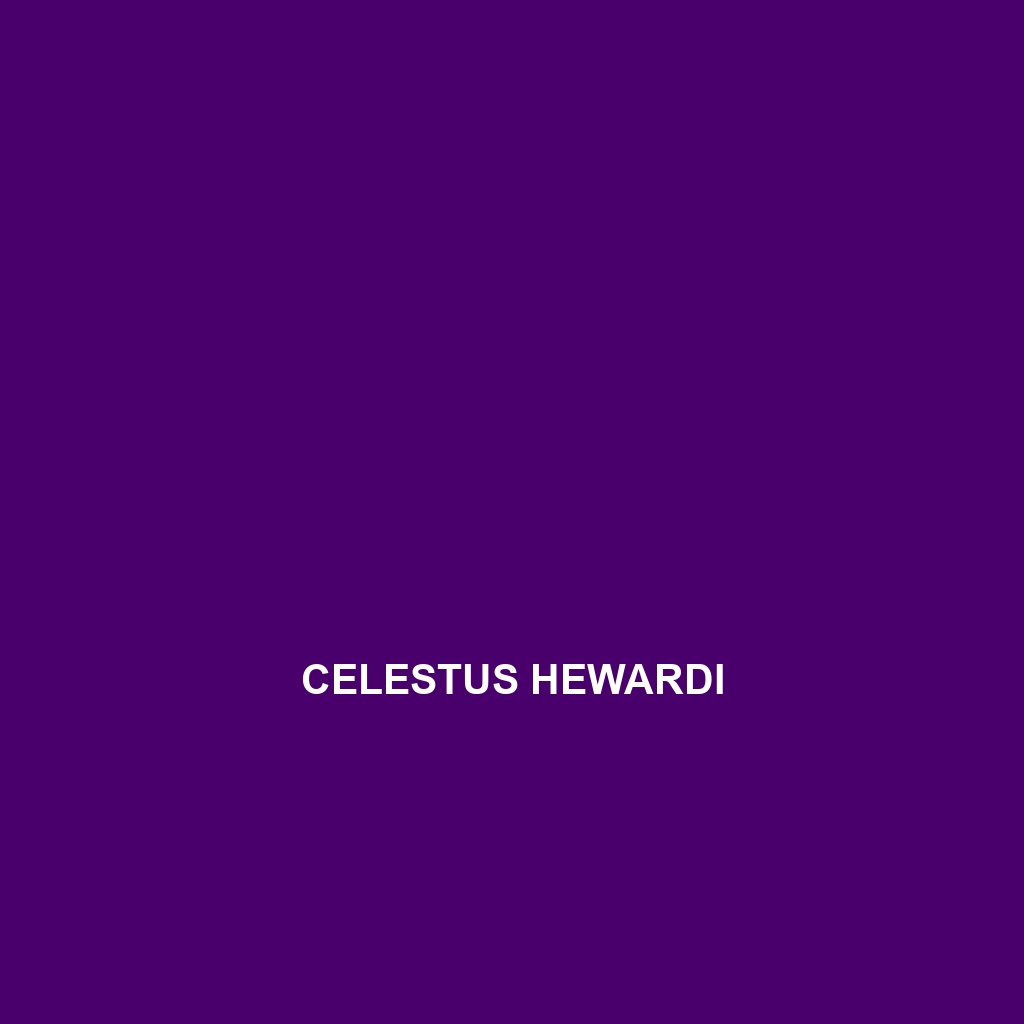 Celestus hewardi