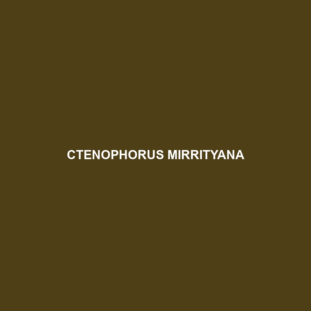 Ctenophorus mirrityana