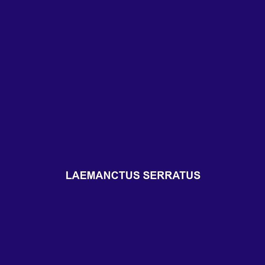 Laemanctus serratus