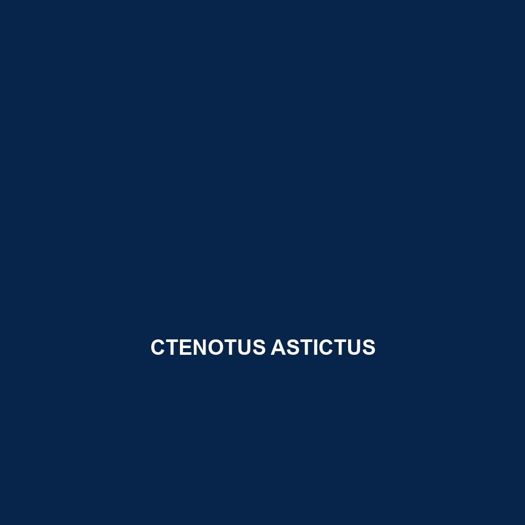 Ctenotus astictus