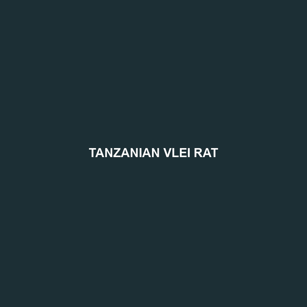 Tanzanian Vlei Rat