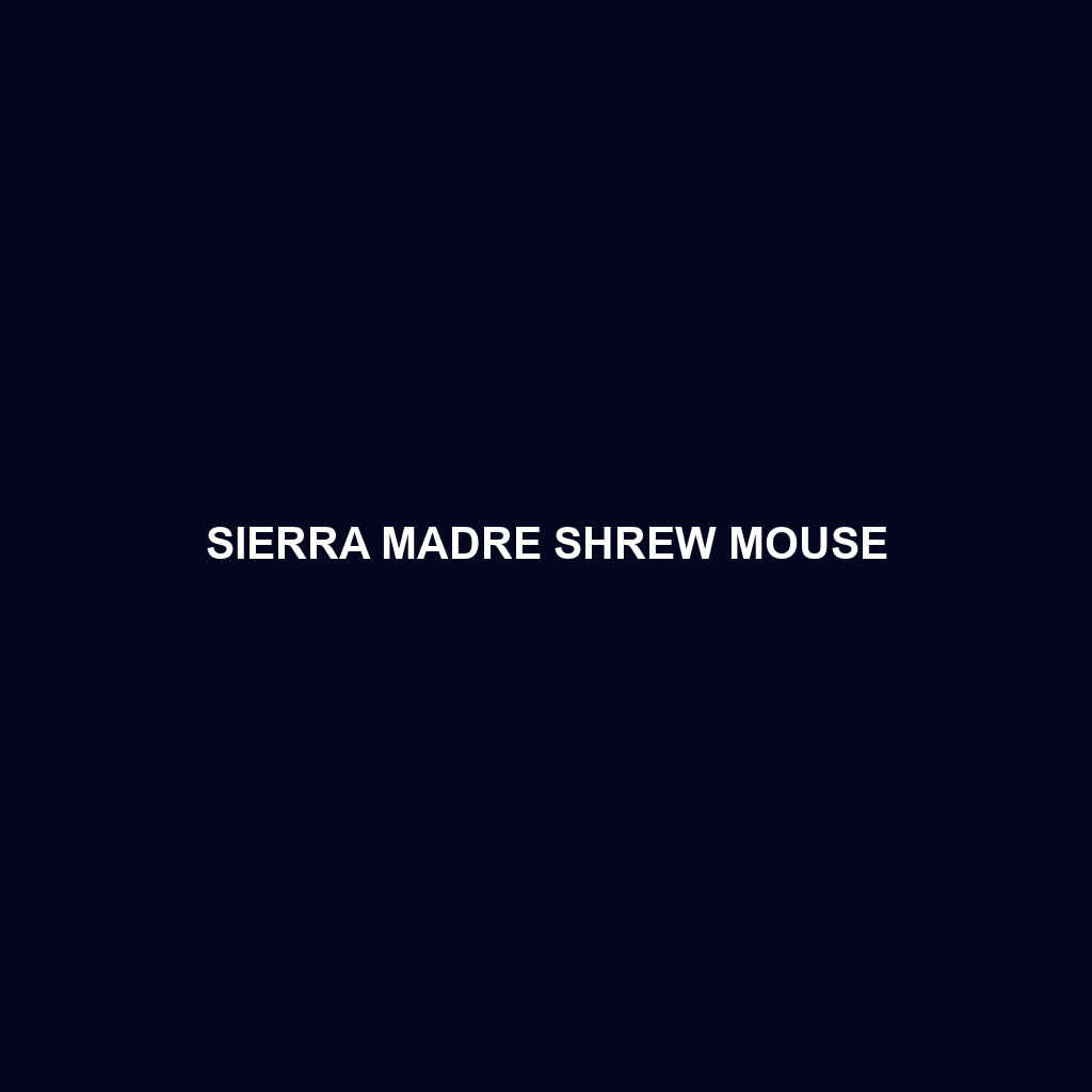 Sierra Madre Shrew Mouse