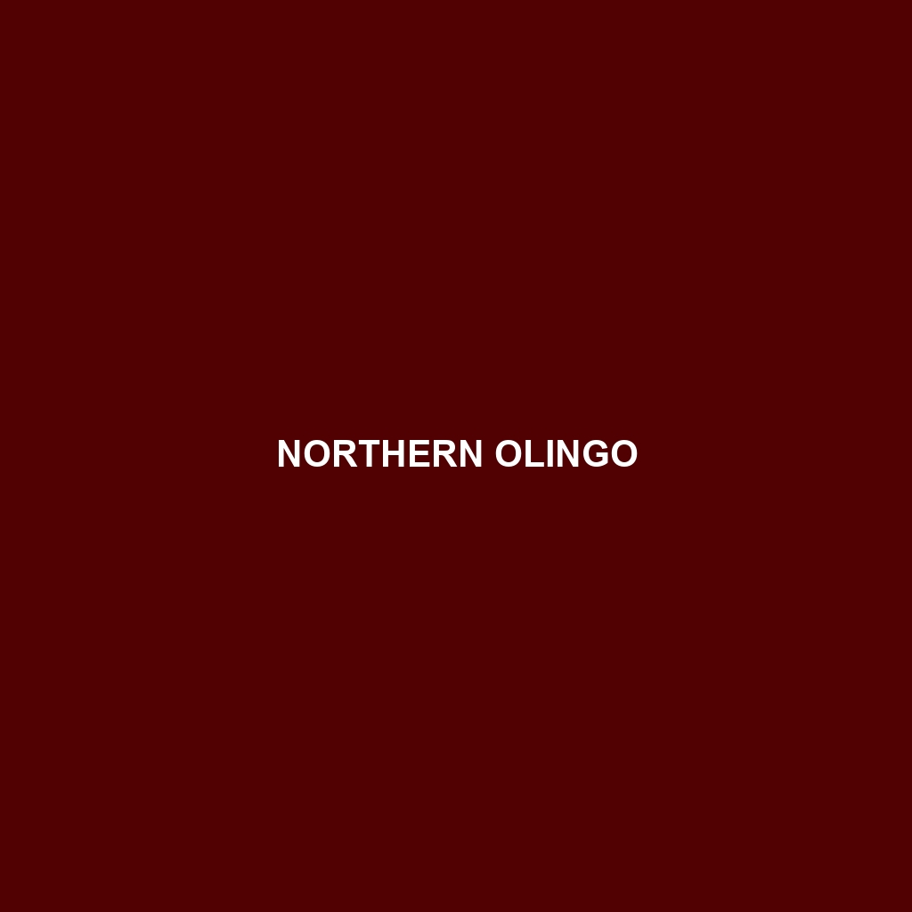 Northern Olingo