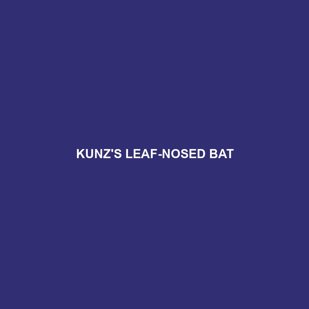 Kunz's Leaf-nosed Bat