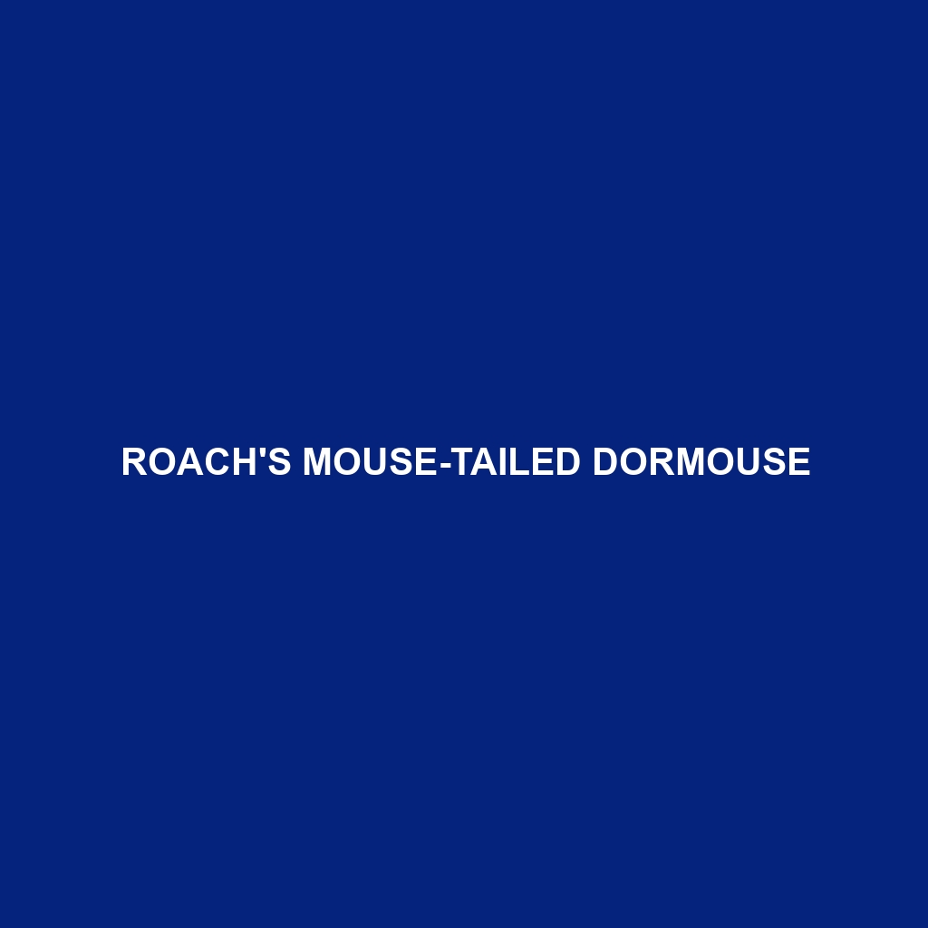 Roach's Mouse-tailed Dormouse