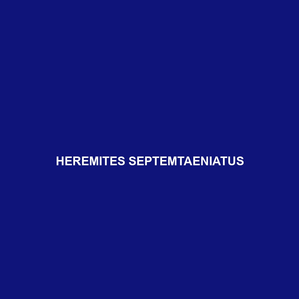 Heremites septemtaeniatus