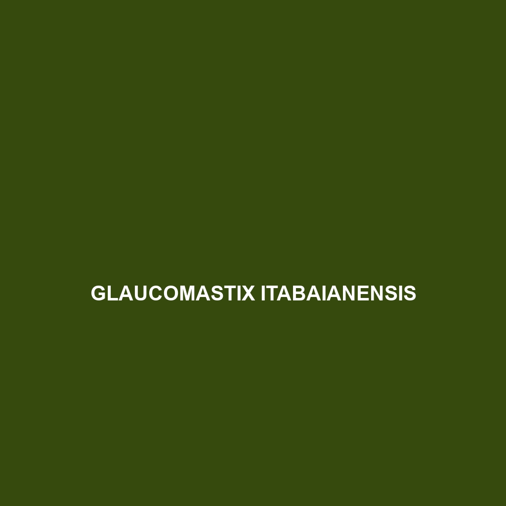 Glaucomastix itabaianensis