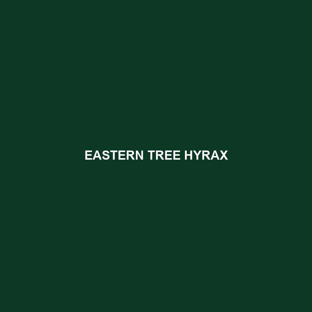 Eastern Tree Hyrax