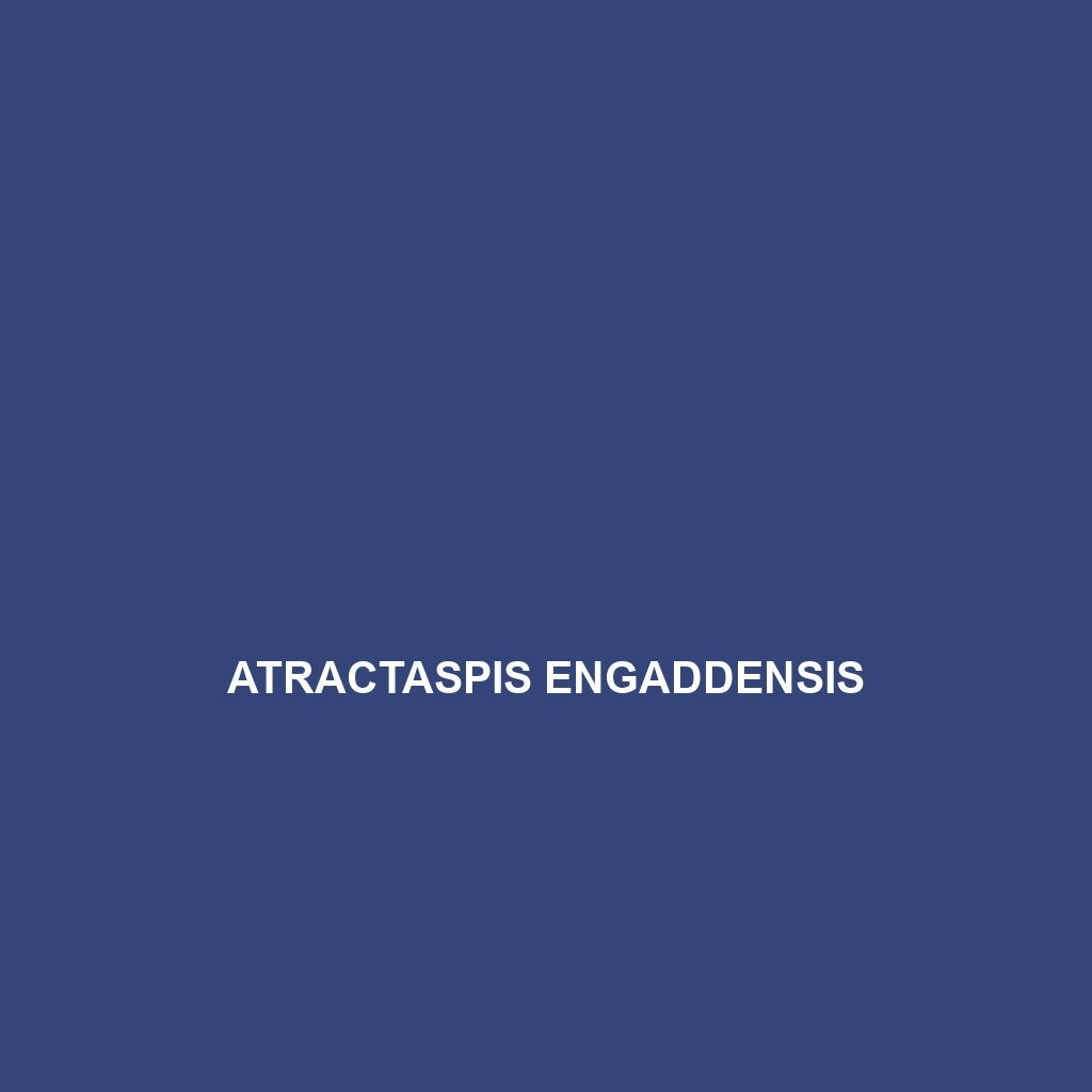 Atractaspis engaddensis